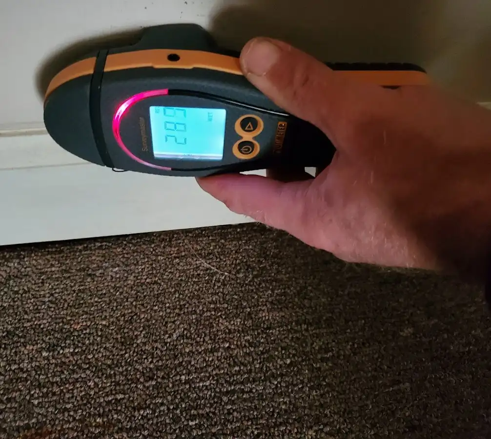 Moisture detection at baseboard during Sewage Cleanup & Sanitation in Jennings